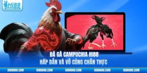 Đá Gà Campuchia HI88 - Hấp Dẫn Và Vô Cùng Chân Thực